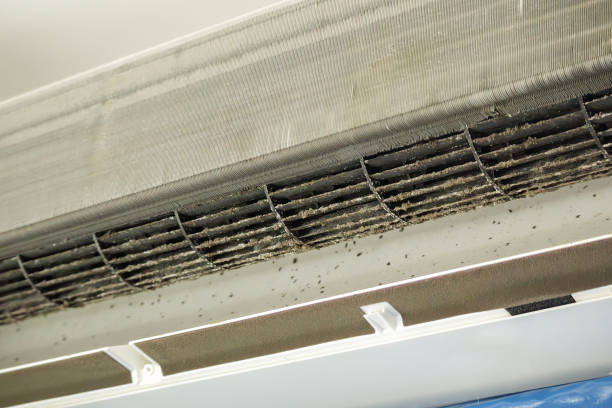 Best Home Air Vent Cleaning  in Pine Castle, FL