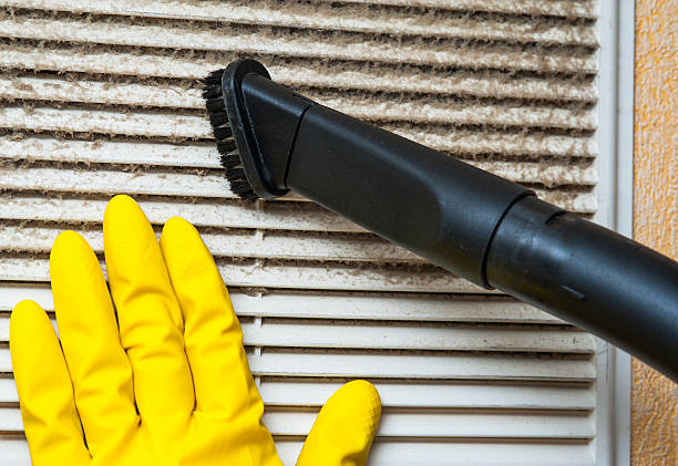 Best Residential Air Duct Cleaning  in Pine Castle, FL