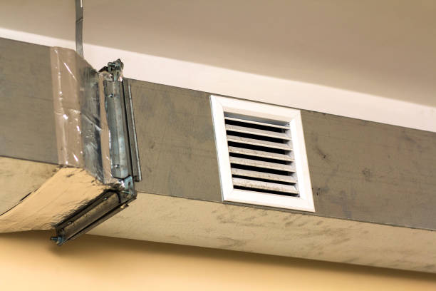 Best Ductwork Cleaning Services  in Pine Castle, FL